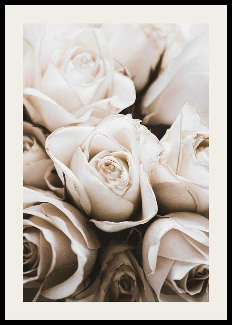 Gros plan de roses blanches aux tons beiges doux, photographique-12