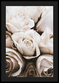 Gros plan de roses blanches aux tons beiges doux, photographique-4