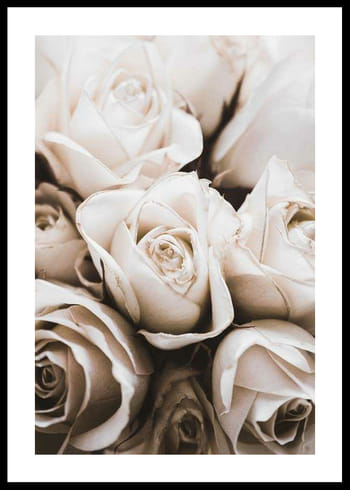 Plakat Bouquet Of Roses