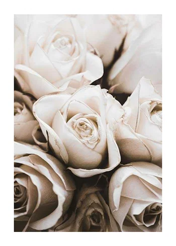 Poster Bouquet Of Roses