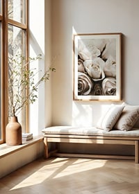 Gros plan de roses blanches aux tons beiges doux, photographique-8