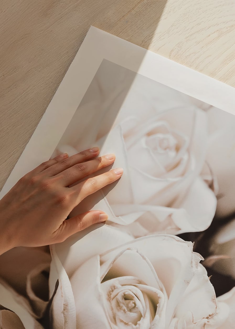 Gros plan de roses blanches aux tons beiges doux, photographique-12