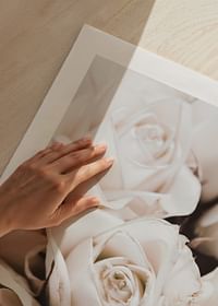 Bouquet Of Roses-5