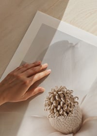 Close-up of magnolia flower in beige and white shades-9