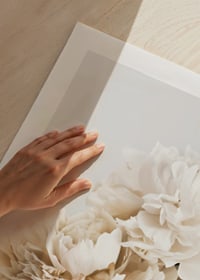 Fotografisk närbild av vita pioner mot ljus bakgrund-9