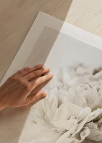 Photographic close-up of white peony against light background-9