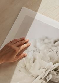 Peony Closeup-5