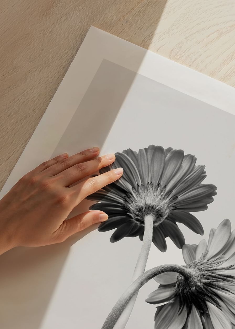 Daisies Intertwined-12