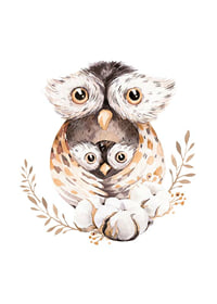 Watercolor of owl family in brown and beige tones on white background-1