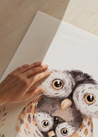 Watercolor of owl family in brown and beige tones on white background-3