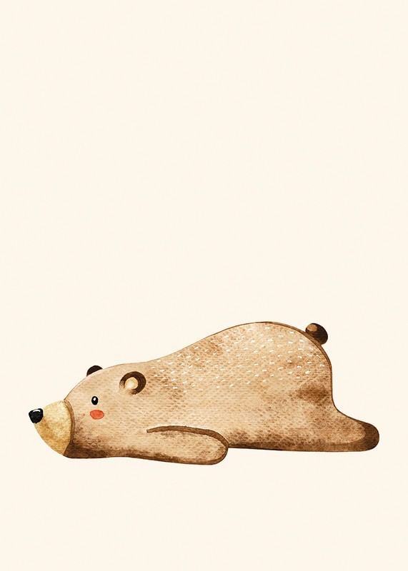 Lazy Bear-12