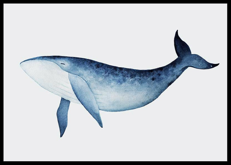 Watercolor illustration of blue whale against light gray background-12