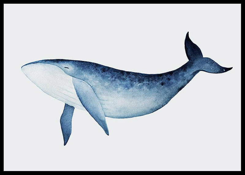 Watercolor Whale-12