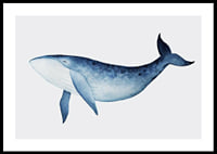 Watercolor illustration of blue whale against light gray background-0