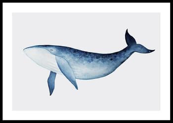 Poster Watercolor Whale