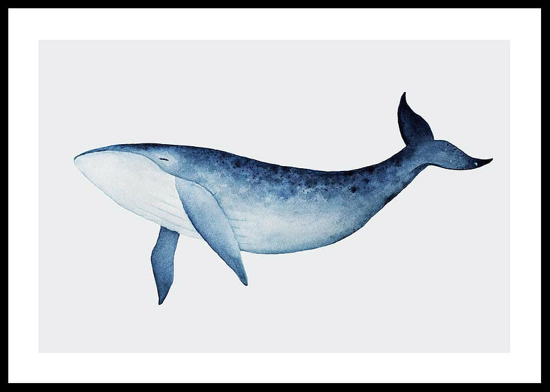 Watercolor Whale-12
