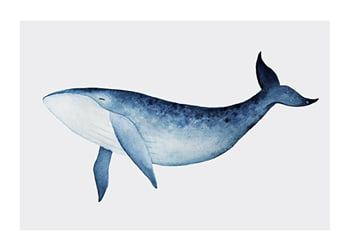 Poster Watercolor Whale