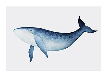 Poster Watercolor Whale