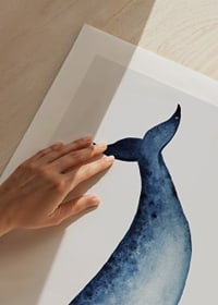 Watercolor illustration of blue whale against light gray background-9