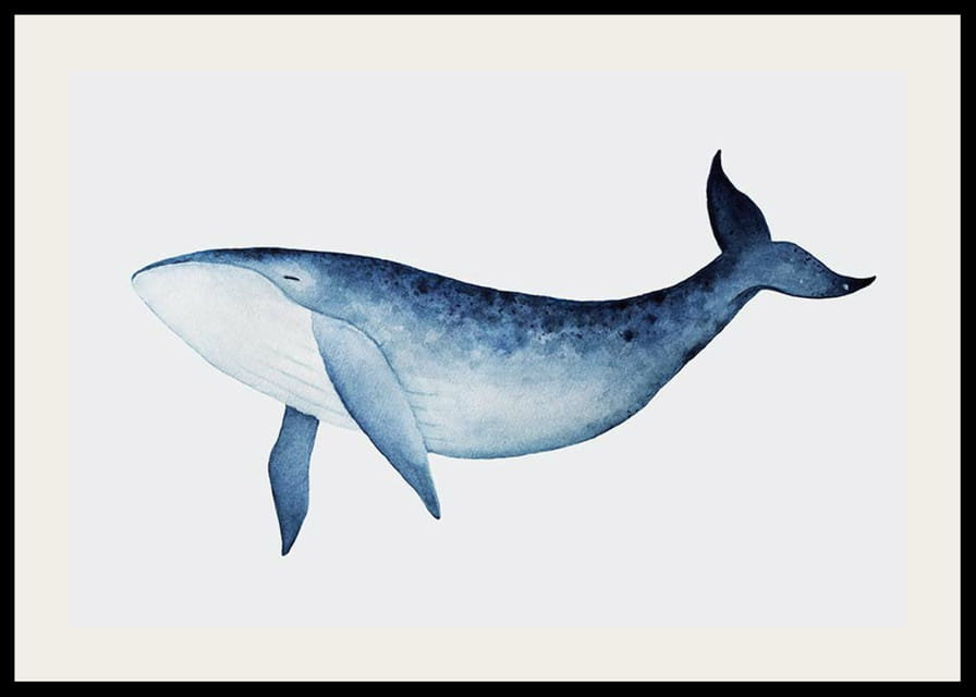Aquarell-Illustration eines Blauwals vor hellgrauem Hintergrund-12