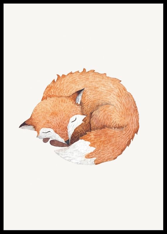 Sleeping Fox-12