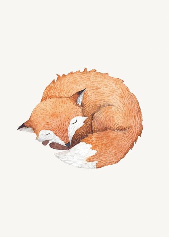 Sleeping Fox-12
