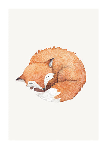 Poster Sleeping Fox