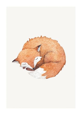 Poster Sleeping Fox
