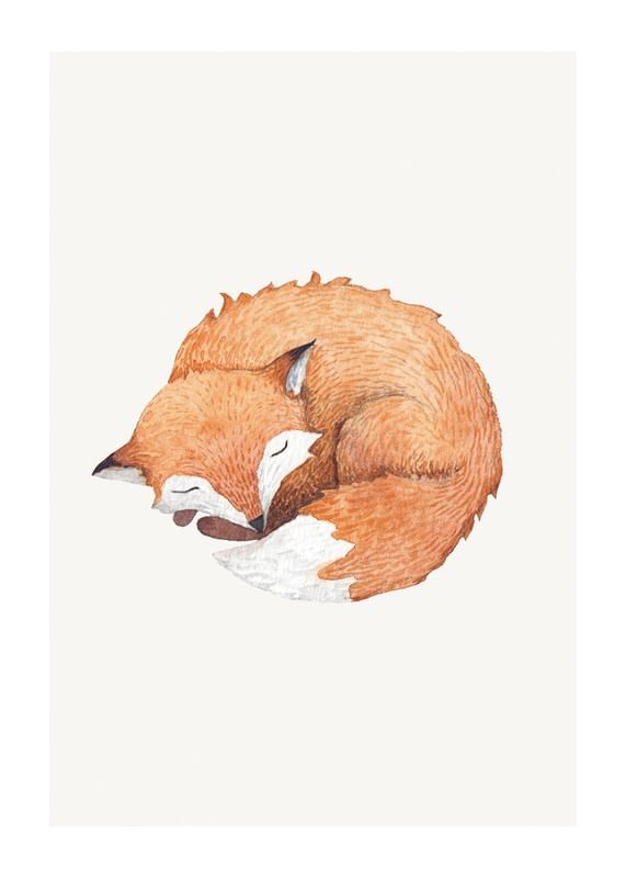 Sleeping Fox-12