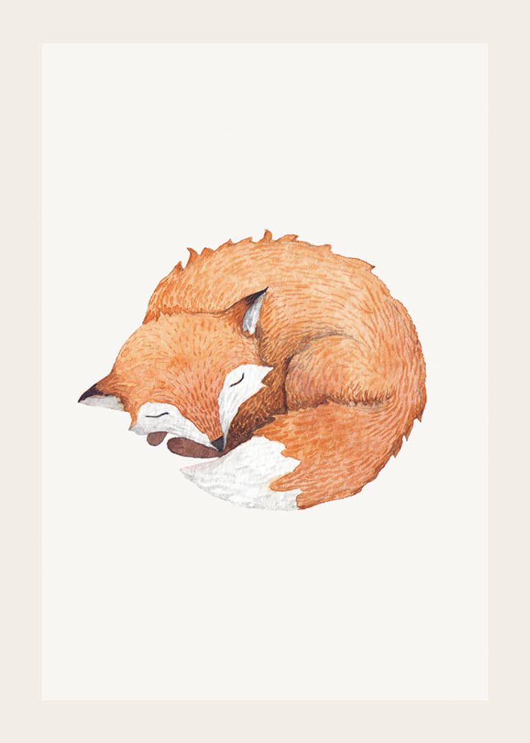 Watercolor of curled up sleeping fox on light background-12