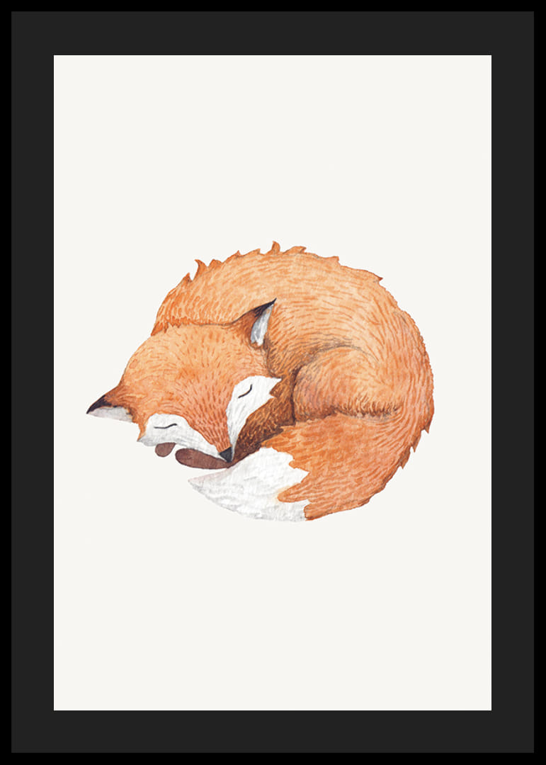 Watercolor of curled up sleeping fox on light background-12