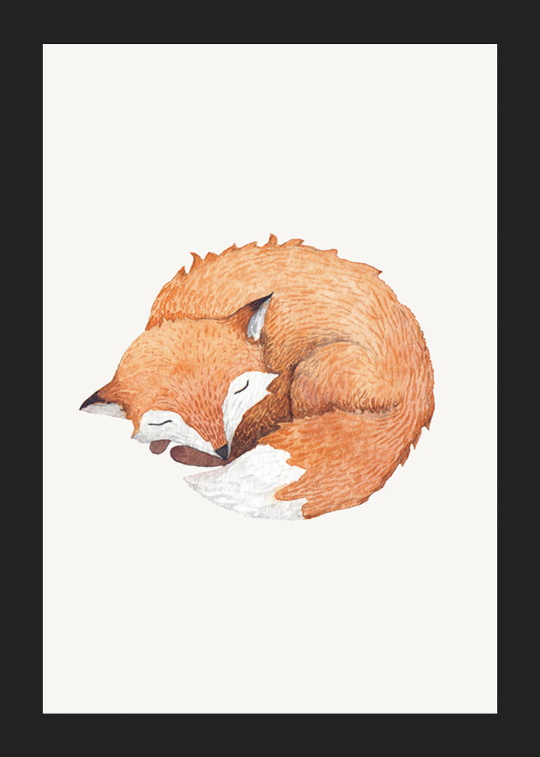 Watercolor of curled up sleeping fox on light background-12