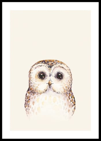 Poster Peekaboo Owl