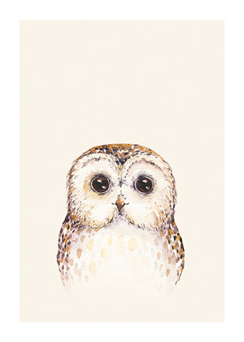 Póster Peekaboo Owl