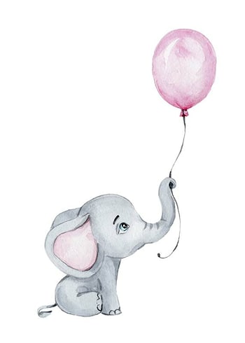 Poster Little Elephant