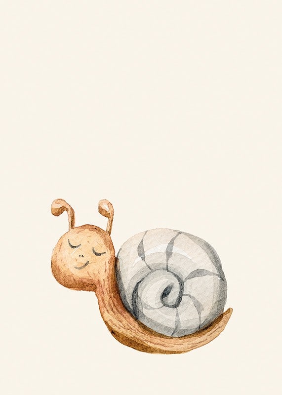 Caracol ilustrado con caparazón gris sobre fondo beige claro-12
