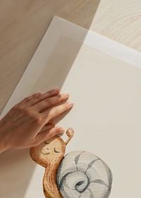 Snail-5