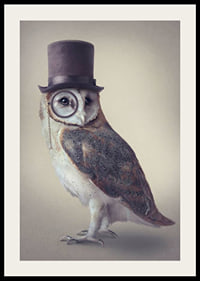 Illustrated owl with top hat and monocle in muted colors-2