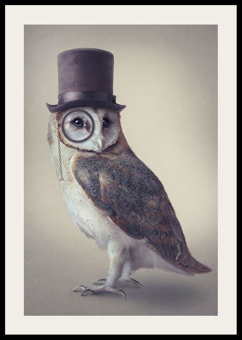 Illustrated owl with top hat and monocle in muted colors-12