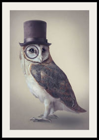 Ilustrovaná sova s ​​cylindrom a monoklom v tlmených farbách-2