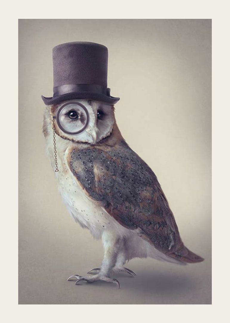 Illustrated owl with top hat and monocle in muted colors-12