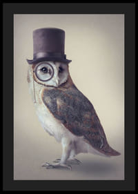 Ilustrovaná sova s ​​cylindrom a monoklom v tlmených farbách-4