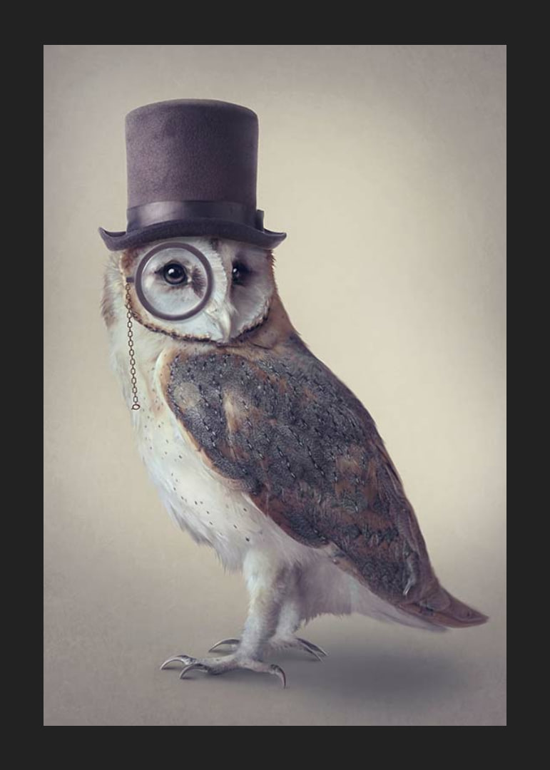 Illustrated owl with top hat and monocle in muted colors-12