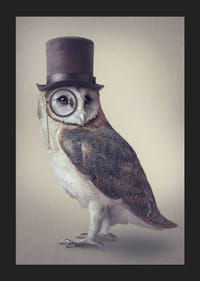 Ilustrovaná sova s ​​cylindrom a monoklom v tlmených farbách-5