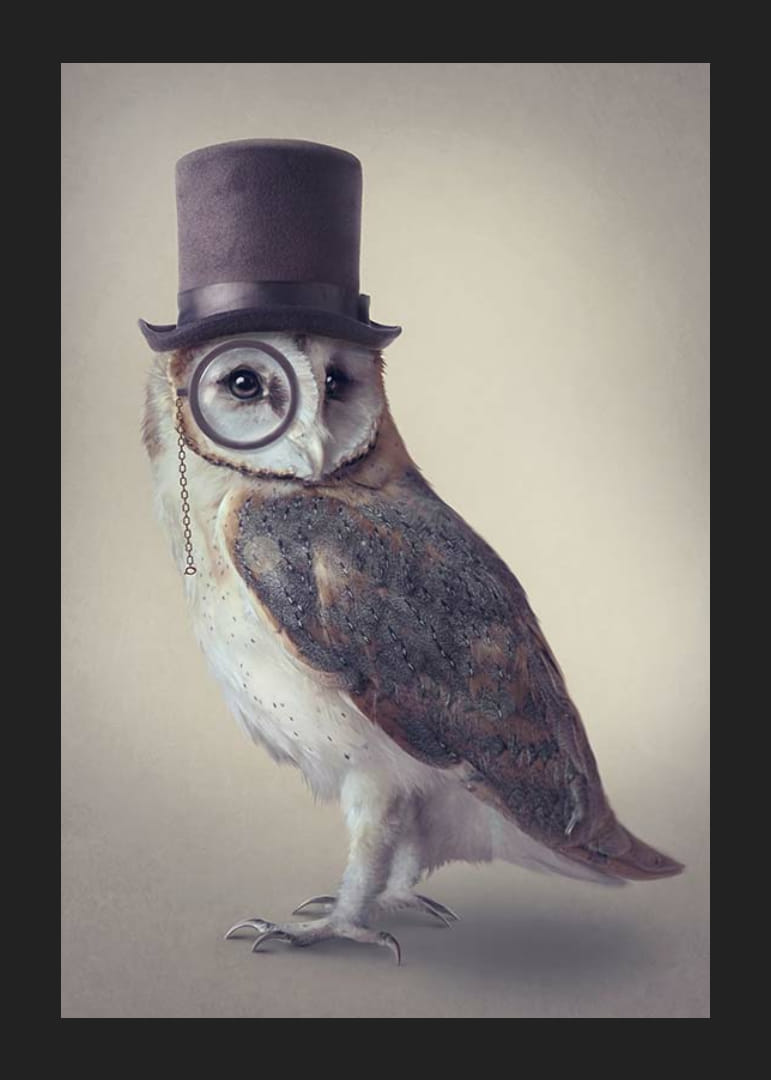 Ilustrovaná sova s ​​cylindrom a monoklom v tlmených farbách-12
