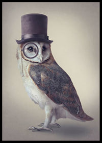 Illustrated owl with top hat and monocle in muted colors-6