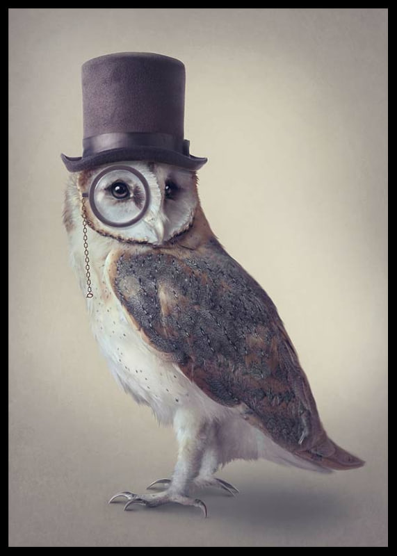 Illustrated owl with top hat and monocle in muted colors-12