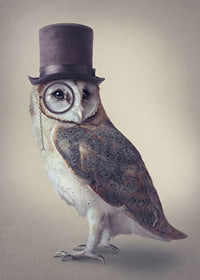 Illustrated owl with top hat and monocle in muted colors-7