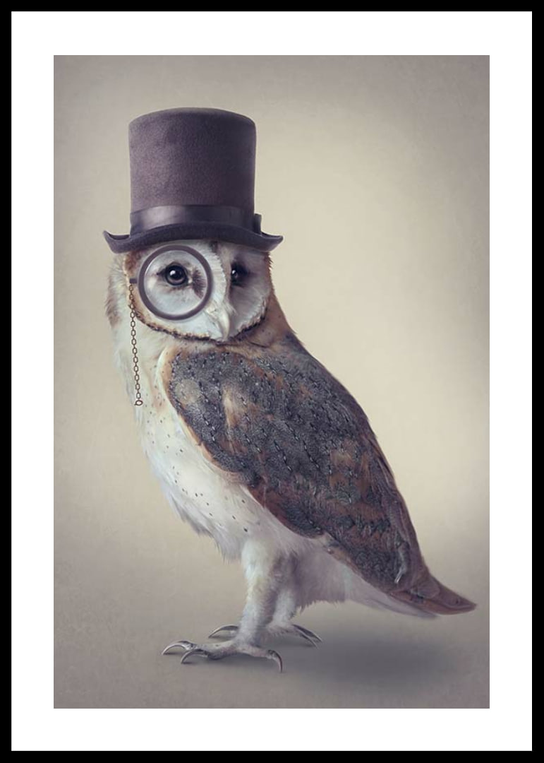 Illustrated owl with top hat and monocle in muted colors-12