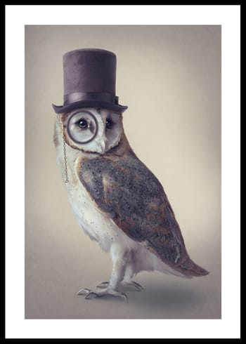 Poster Potter Owl